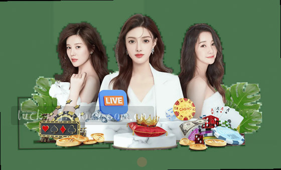专业内容创作，精准描述卡片